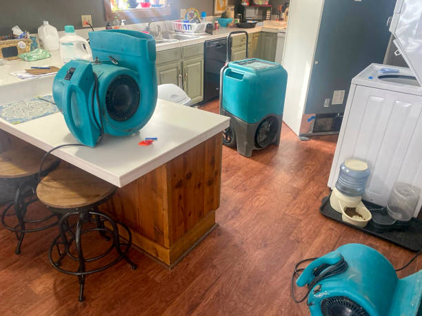 Best Water damage restoration mold remediation  in Ashtabula, OH