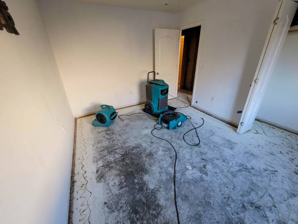  Ashtabula, OH Water damage restoration Pros