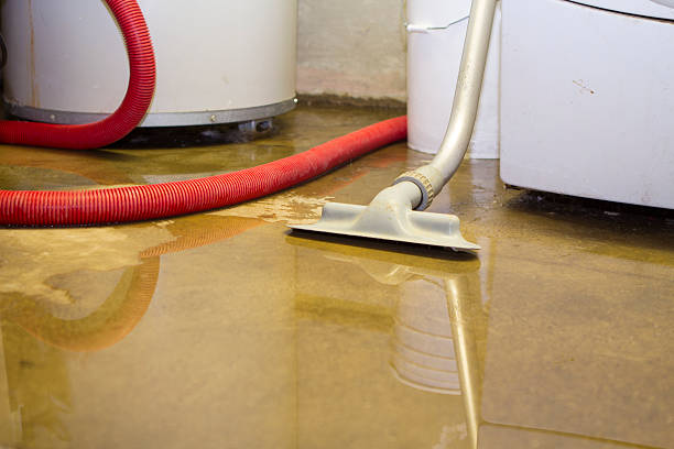 Best Flood restoration services  in Ashtabula, OH