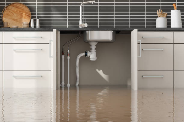 Trusted Ashtabula, OH Water damage restoration Experts