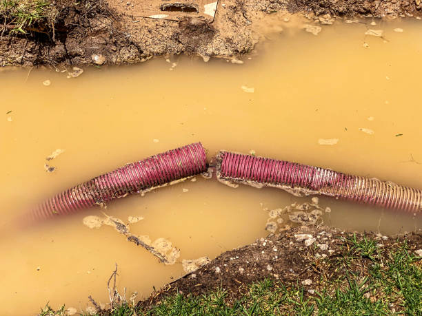 Water damage restoration insurance claims in Ashtabula, OH