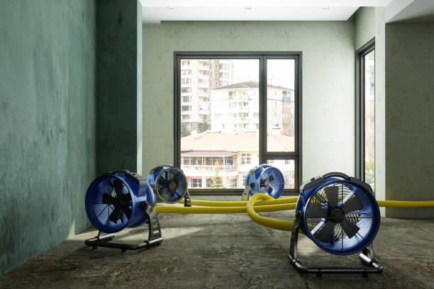 Best Water damage restoration near me  in Ashtabula, OH