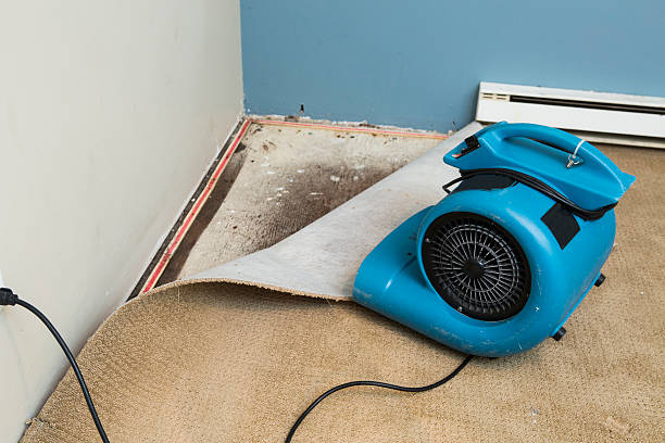 Best Water damage restoration near me  in Ashtabula, OH